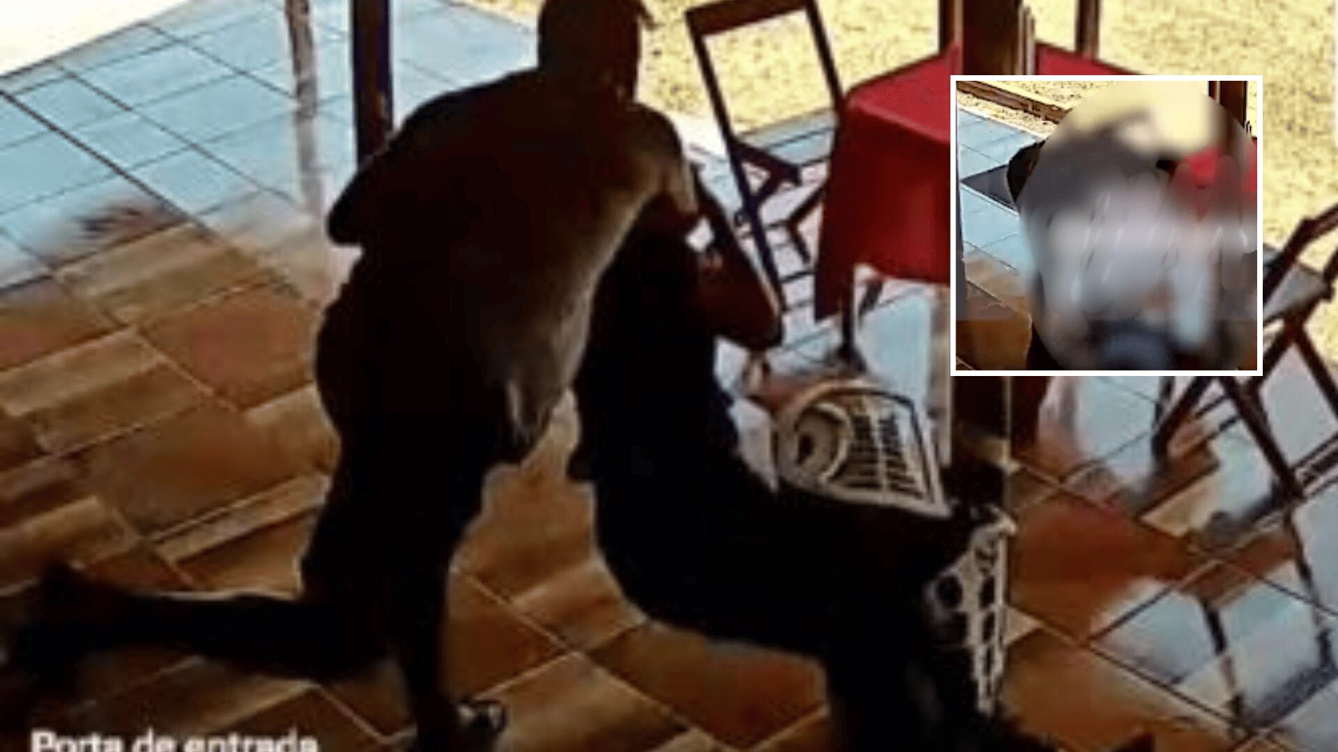 Ex invade casa, mata mulher a tiros e morre após ser baleado pelo atual namorado em Nobres