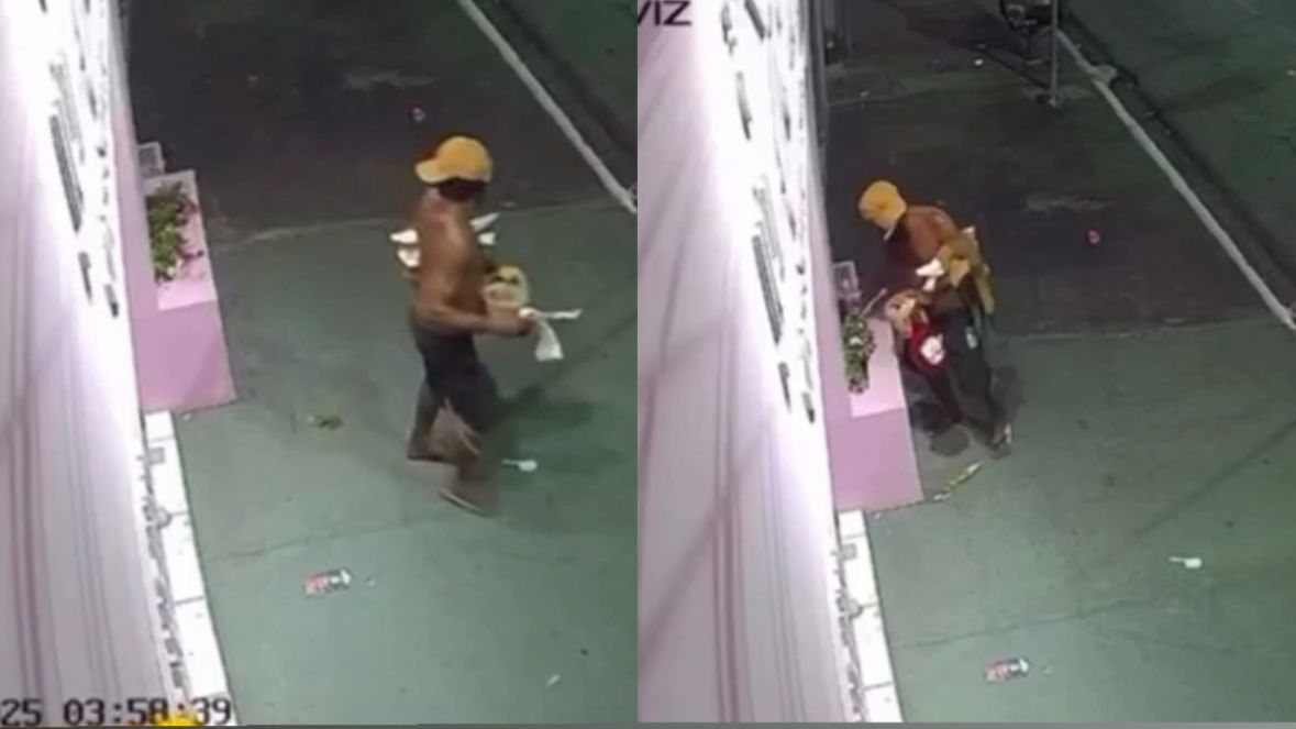 Homem Arranca Plantas de Comércios no CPA II