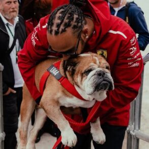 Vídeo: Roscoe, cão de Hamilton, recebe homenagem no GP do México durante o Dia dos Mortos
