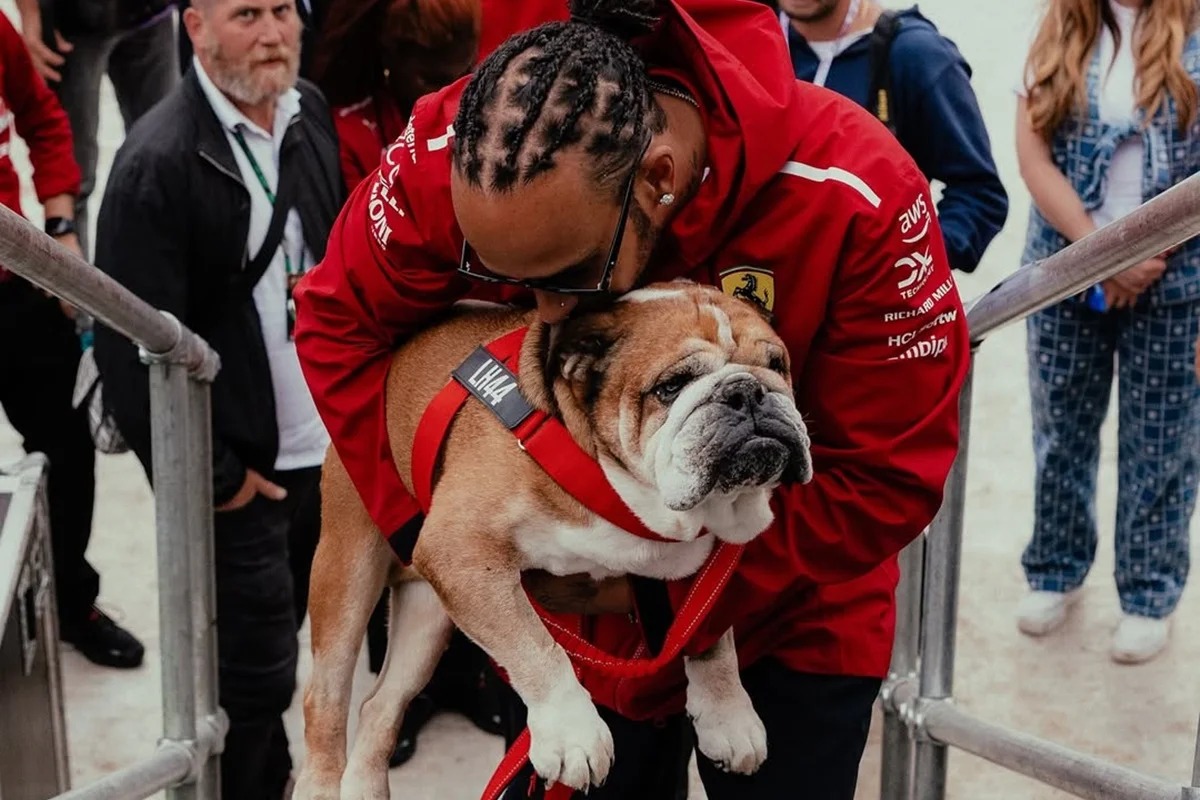 Vídeo: Roscoe, cão de Hamilton, recebe homenagem no GP do México durante o Dia dos Mortos