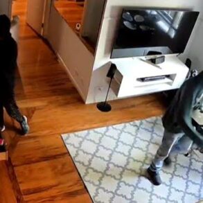 Quadrilha mascarada faz babá e criança reféns em assalto a casa