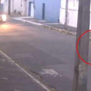Menino autista sai escondido de escola e mãe se desespera ao descobrir