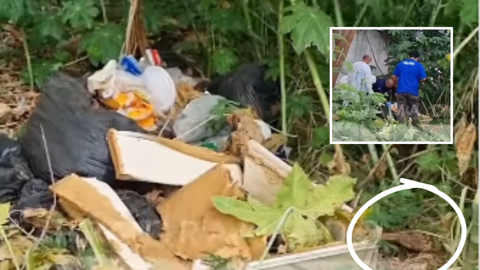 Corpo em decomposição encontrado atrás da UPA do Verdão; veja vídeo