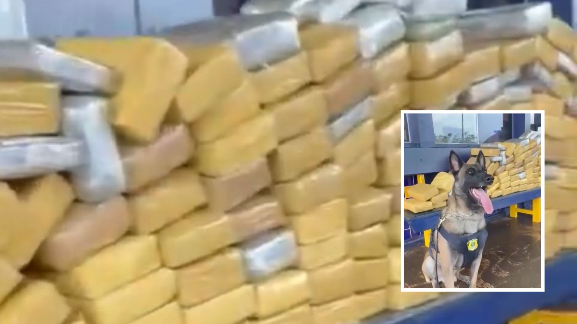 PRF intercepta mais de 160 kg de drogas em Rondonópolis; veja vídeo