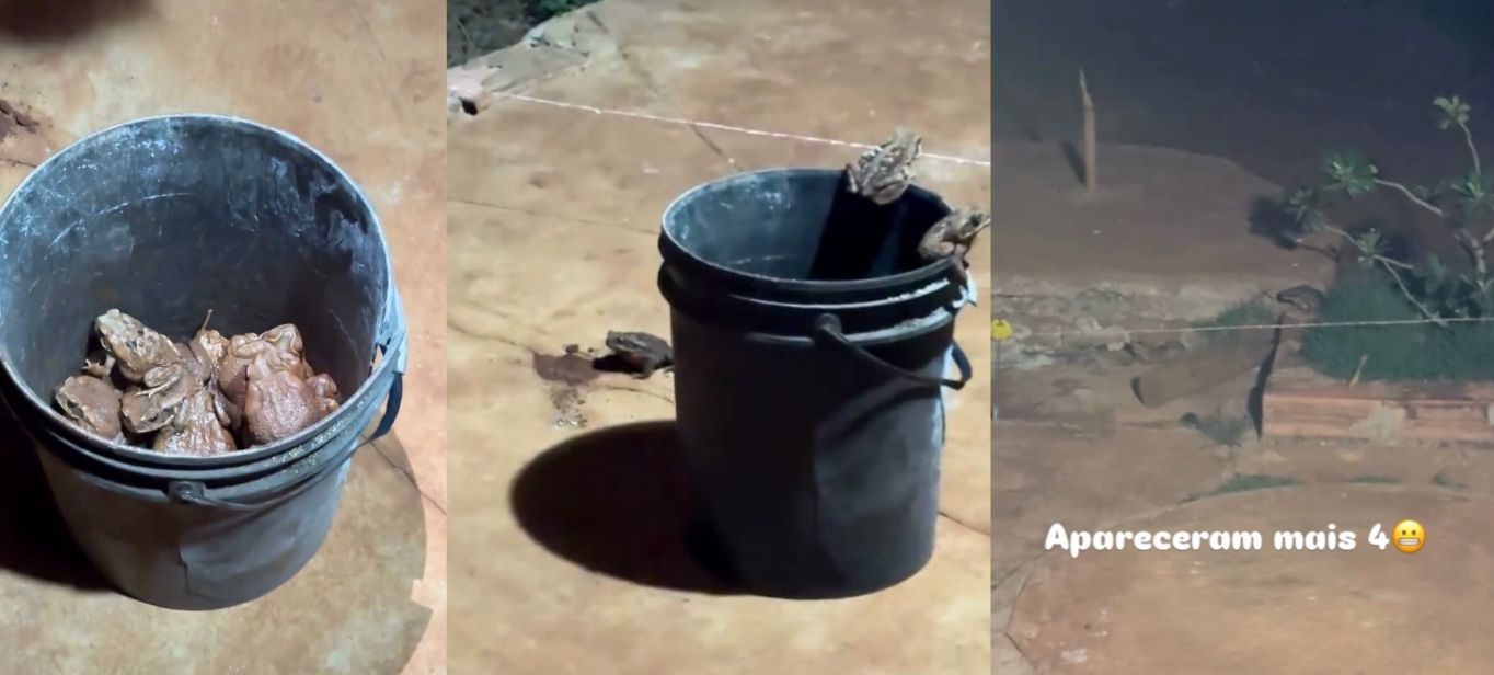 jornalista flagra cena inacreditável em fazenda mato-grossense