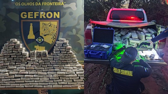 Polícia apreende 210 kg de maconha em MT