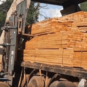 Droga escondida em carga de madeira é descoberta pela PRF em Rondonópolis após irregularidade na nota fiscal; veja vídeo