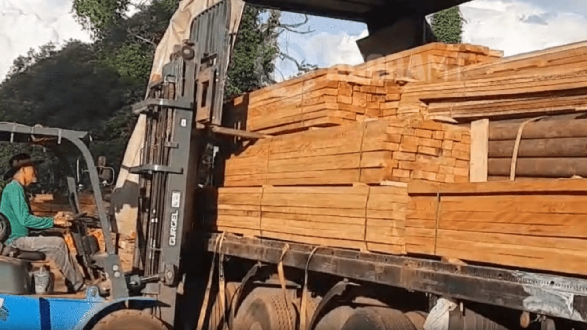 Droga escondida em carga de madeira é descoberta pela PRF em Rondonópolis após irregularidade na nota fiscal; veja vídeo