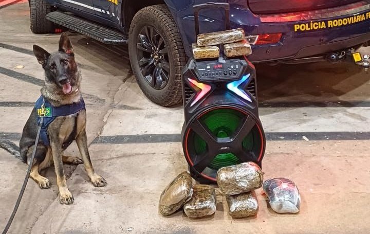 PRF prende homem com 8 kg de skunk escondidos em caixa de som