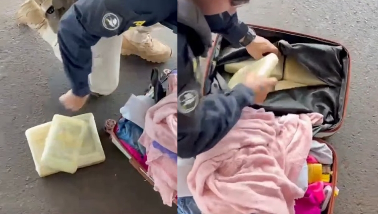 PRF encontra supermaconha em malas e prende mulher em MT