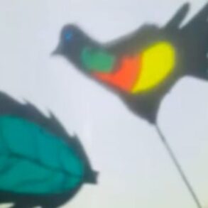 Poesia de Manoel de Barros ganha vida em espetáculo gratuito no Cine Teatro Cuiabá; veja vídeo