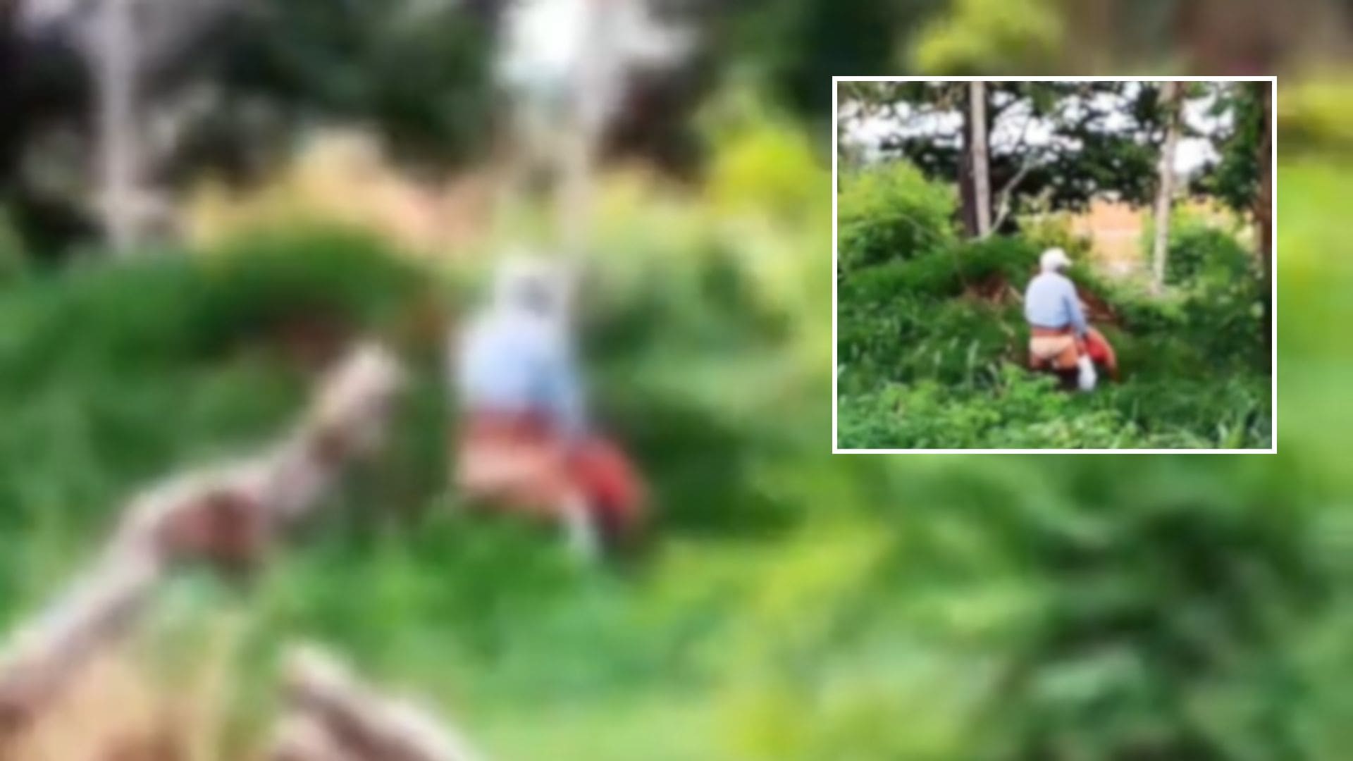 Casal de idosos é flagrado em ato íntimo ao ar livre em Várzea Grande; veja vídeo